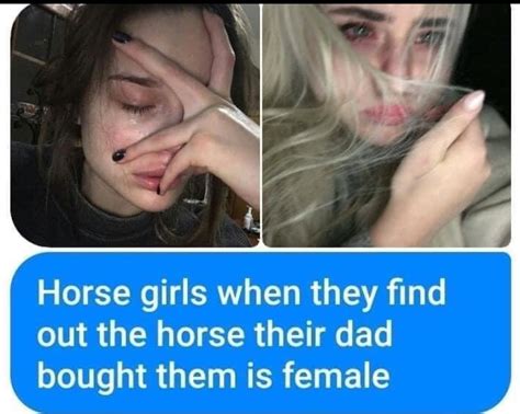 reddit horse hentai